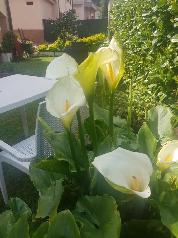 B&B La Damigiana Fioi Piano di Follo Exteriör bild