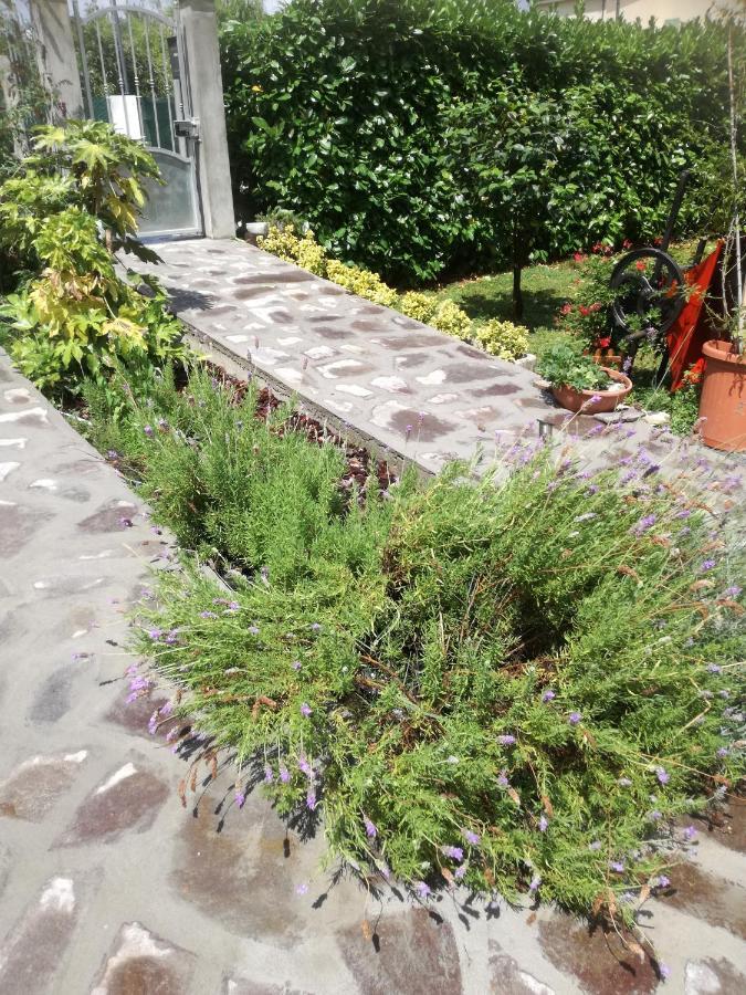 B&B La Damigiana Fioi Piano di Follo Exteriör bild
