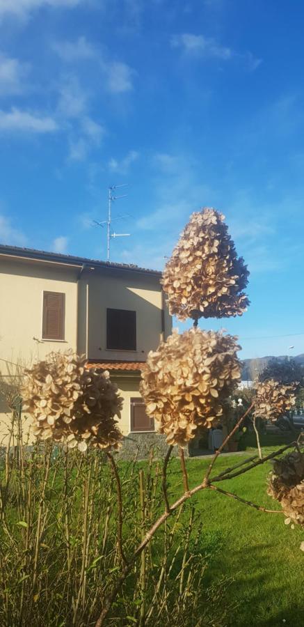 B&B La Damigiana Fioi Piano di Follo Exteriör bild