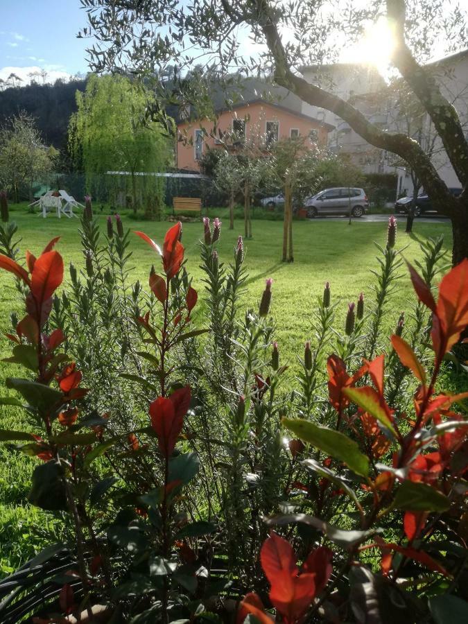 B&B La Damigiana Fioi Piano di Follo Exteriör bild