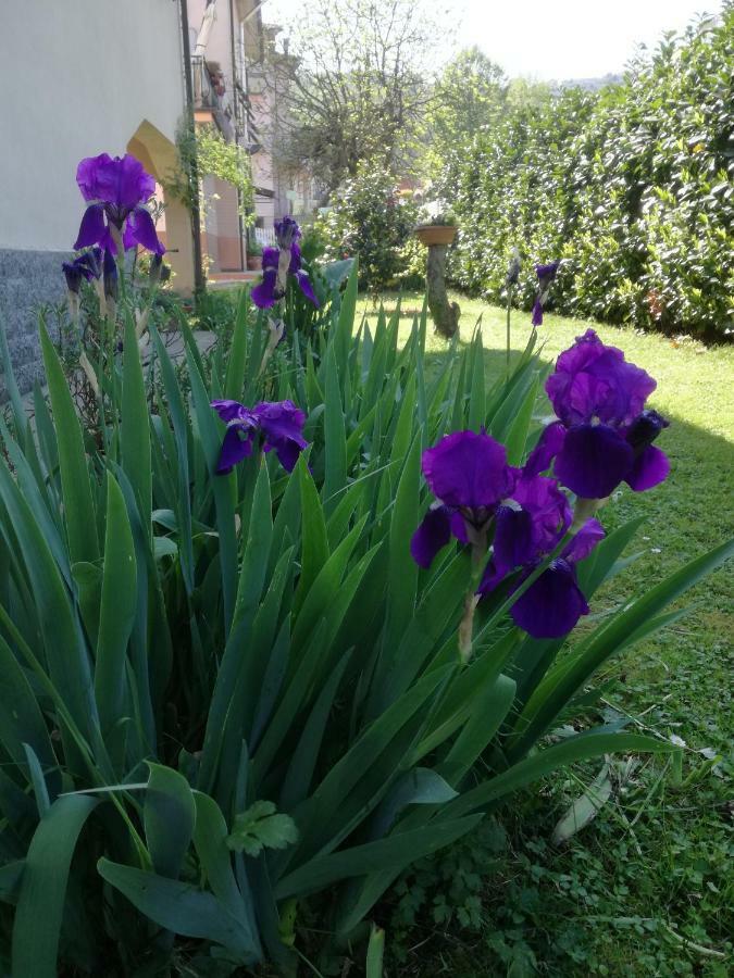 B&B La Damigiana Fioi Piano di Follo Exteriör bild