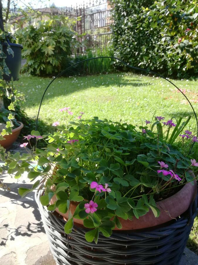 B&B La Damigiana Fioi Piano di Follo Exteriör bild