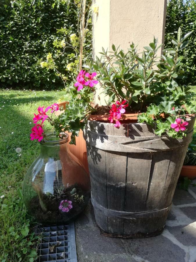 B&B La Damigiana Fioi Piano di Follo Exteriör bild