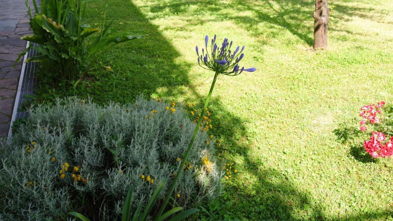 B&B La Damigiana Fioi Piano di Follo Exteriör bild